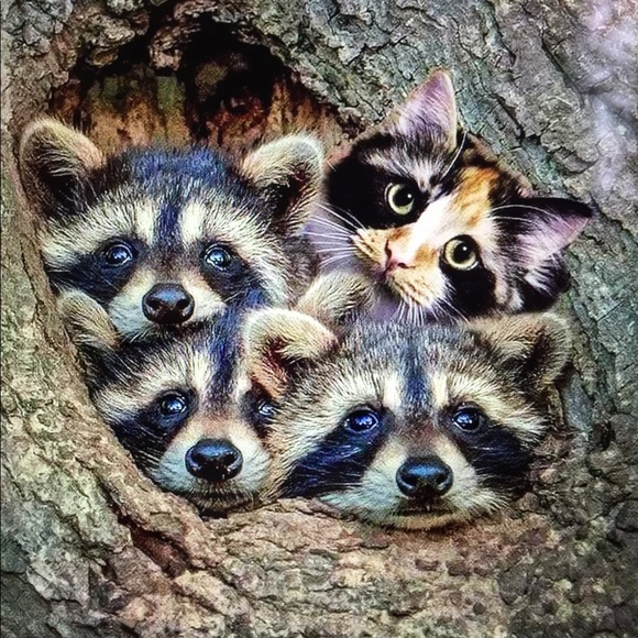 Meet your Posher, Eva - Picture 7 of 11